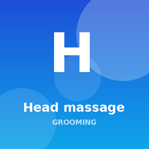 Head massage